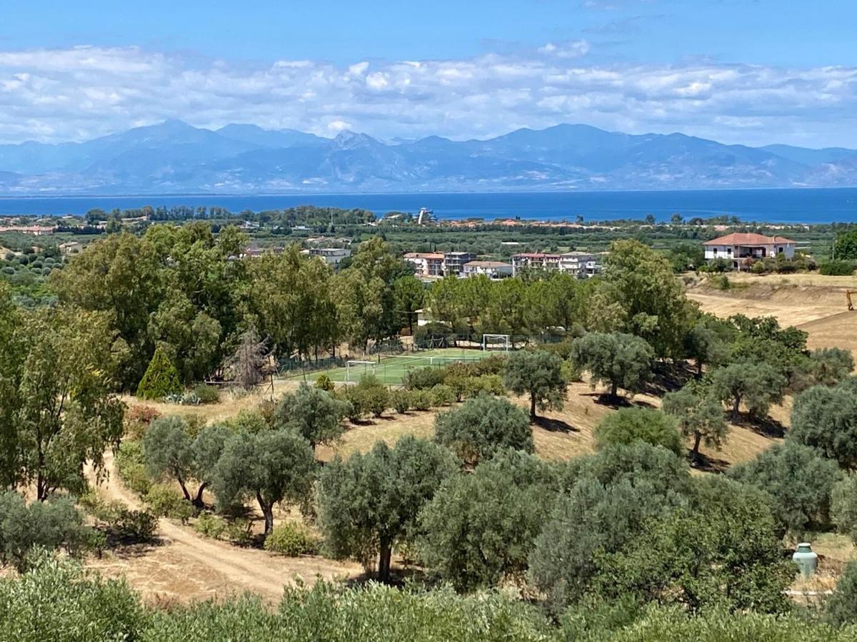Le Colline Del Gelso-Masseria Mazzei Rossano Exterior photo